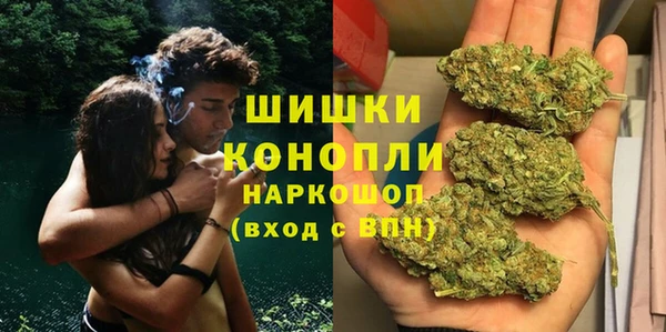 прущие грибы Баксан