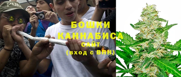 прущие грибы Баксан